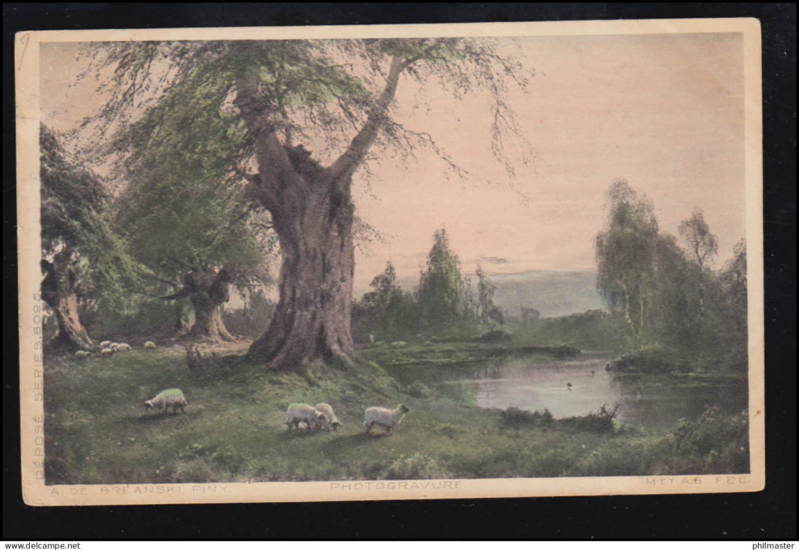 Tiere-AK Die Alte Eiche Am Fluss Mit Schafherde, Aus AACHEN Nach MONS 28.9.1905 - Autres & Non Classés