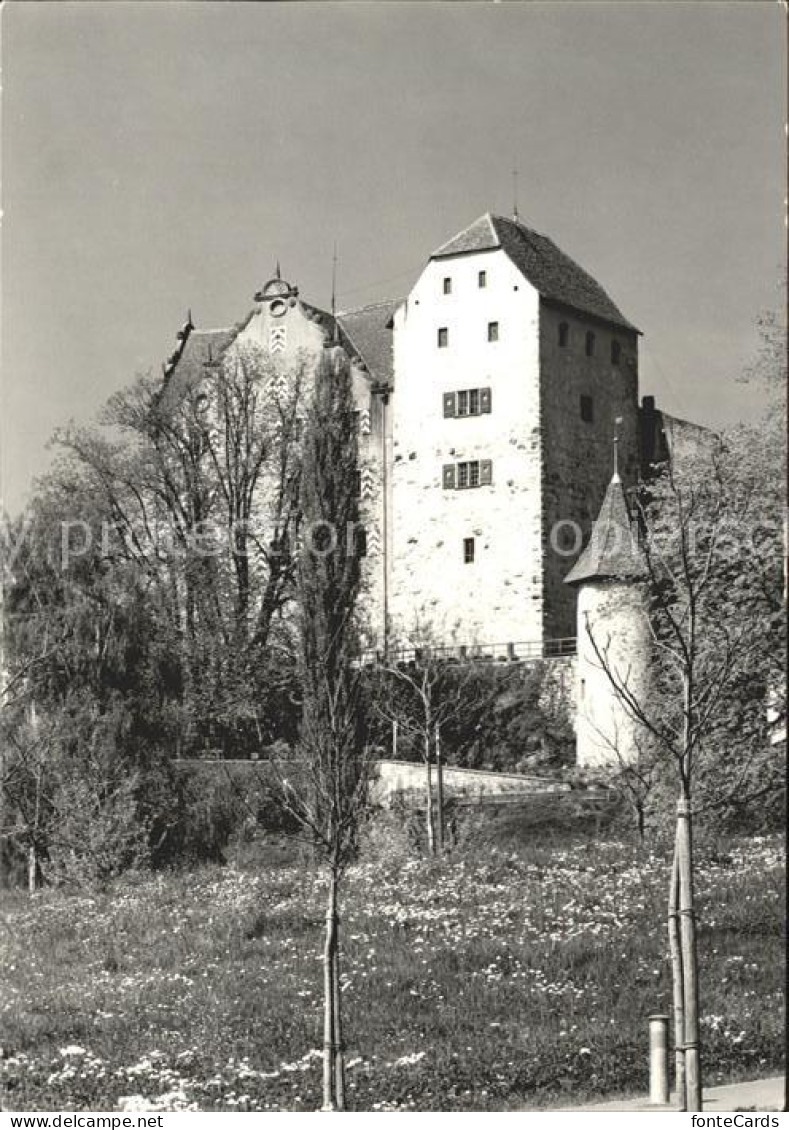 11621826 Wildegg Bergfried Palas Wildegg - Sonstige & Ohne Zuordnung