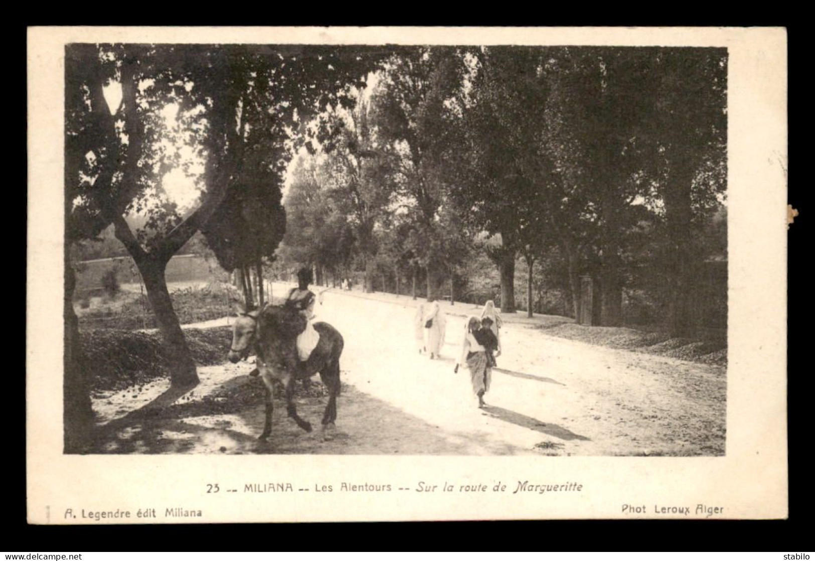 ALGERIE - MILIANA - SUR LA ROUTE DE MARGUERITTE - CARTE TAXEE - Autres & Non Classés