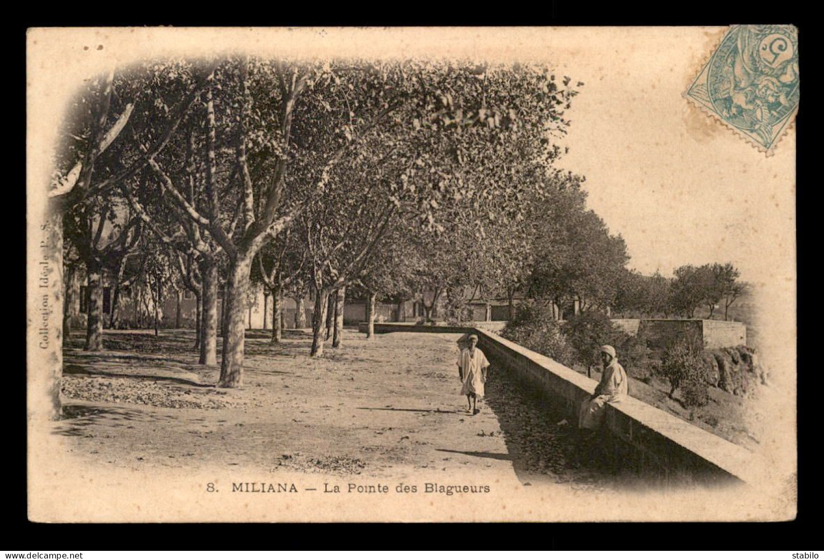 ALGERIE - MILIANA - LA POINTE DES BLAGUEURS - Autres & Non Classés