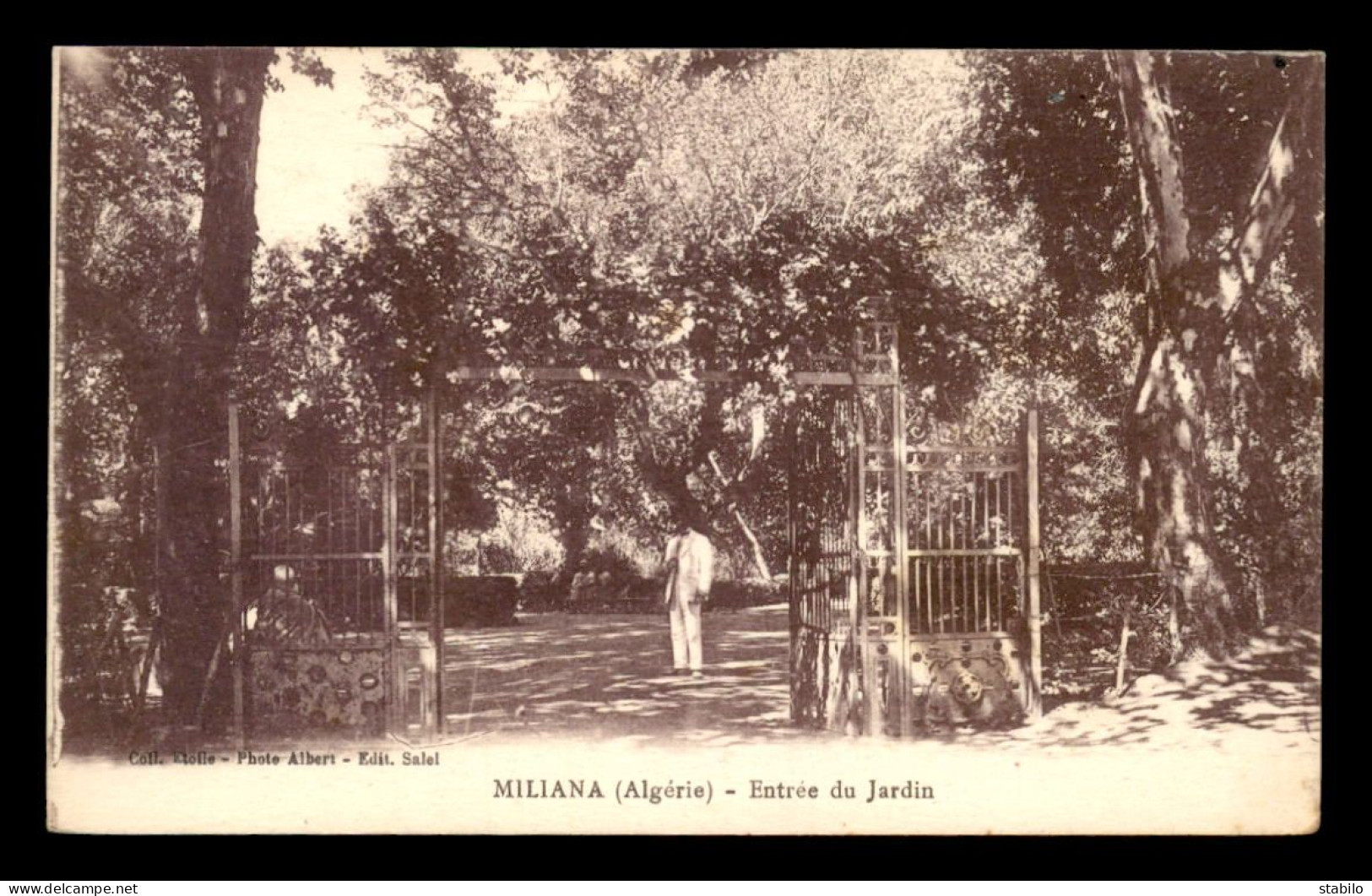 ALGERIE - MILIANA - ENTREE DU JARDIN - Autres & Non Classés