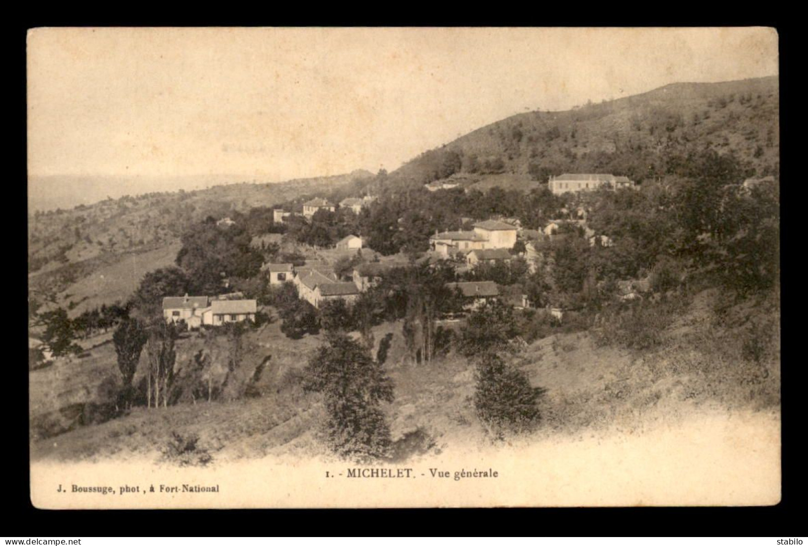 ALGERIE - MICHELET - VUE GENERALE - Autres & Non Classés