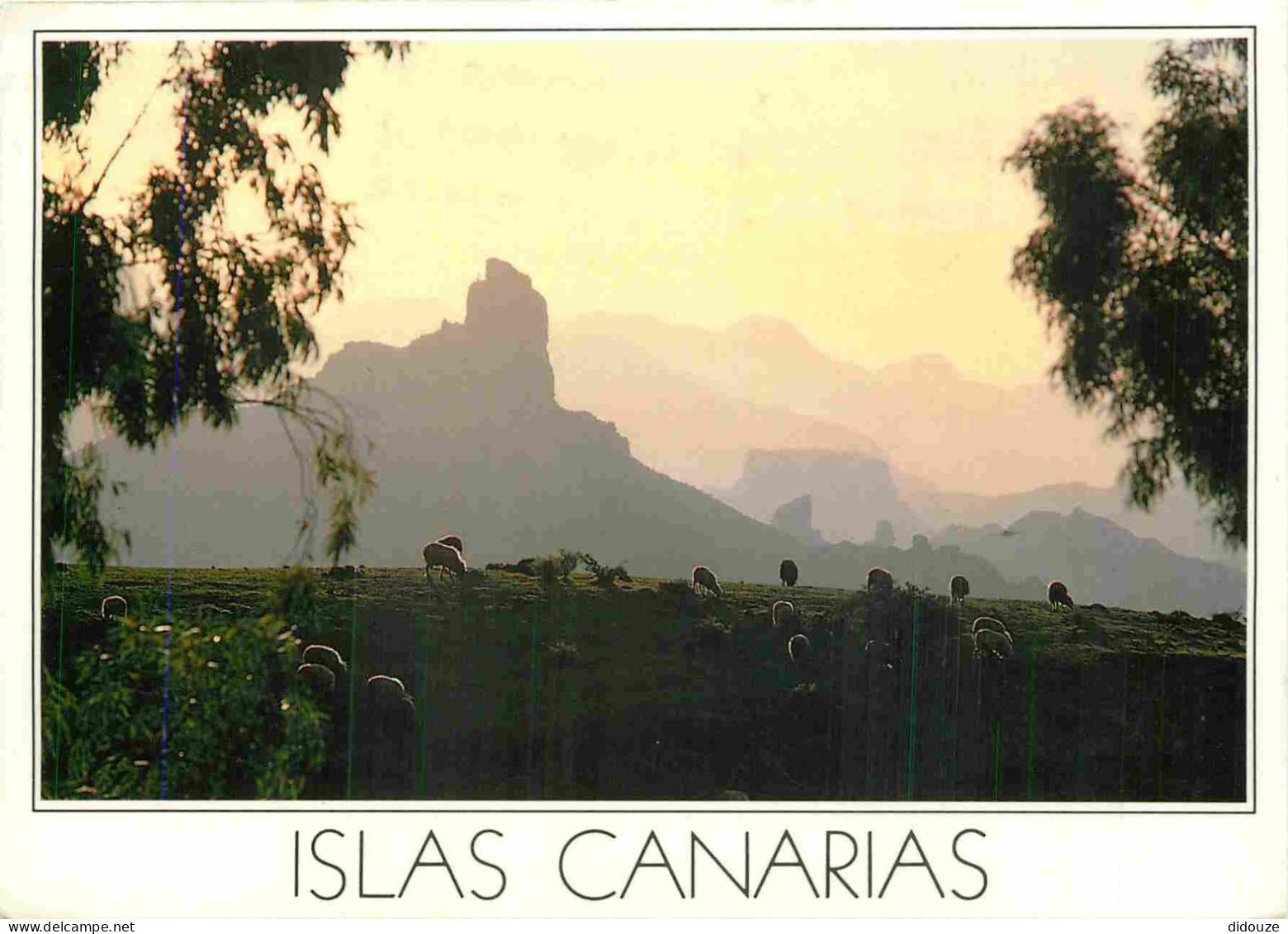 Espagne - Espana - Islas Canarias - Roque Bentayga - CPM - Voir Scans Recto-Verso - Otros & Sin Clasificación