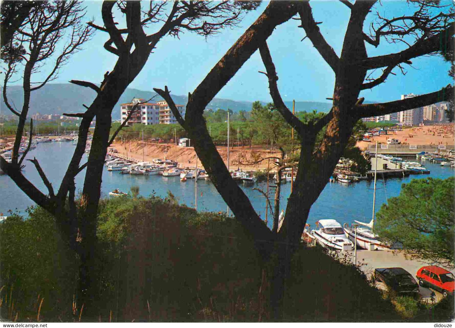 Espagne - Espana - Cataluna - Costa Brava - Playa De Aro - Club Nautico - Club Nautique - CPM - Voir Scans Recto-Verso - Gerona