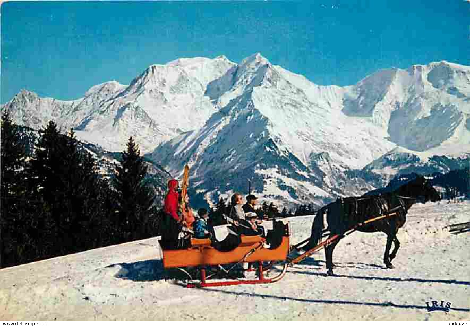 74 - Chamonix - Mont-Blanc - Panorama Sur La Chaine Du Mont-Blanc - Ballade En Traineau - Chevaux - Neige - Hiver - CPM  - Chamonix-Mont-Blanc