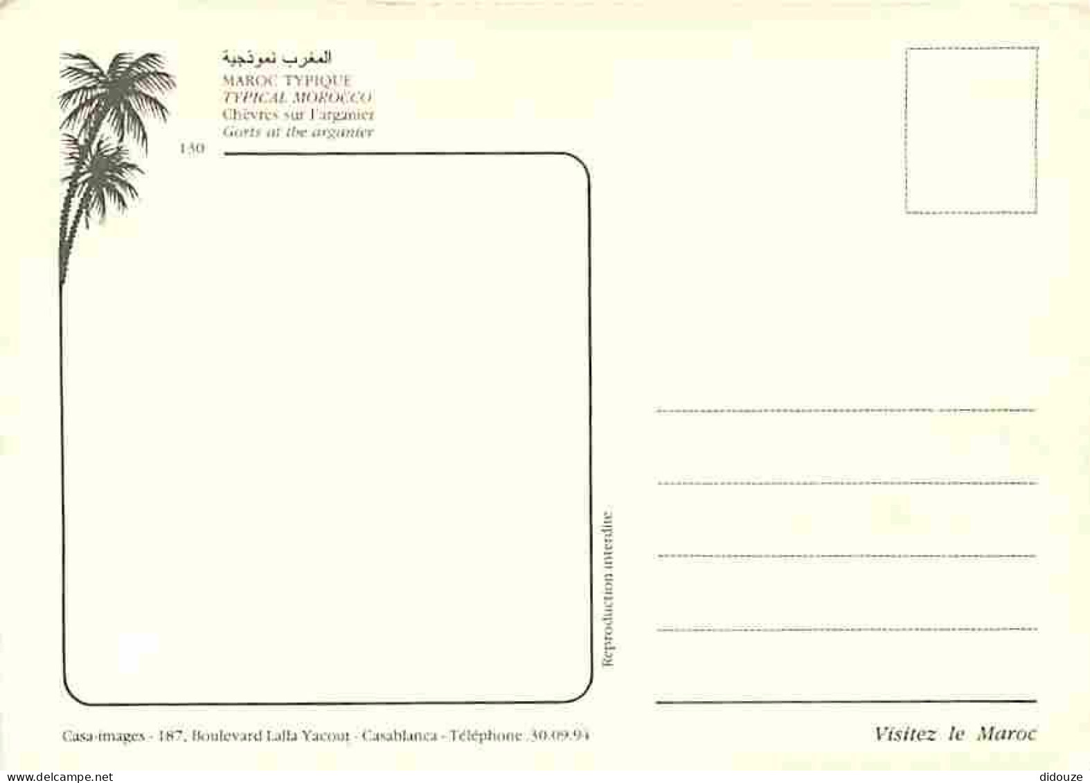 Maroc - Maroc Typique - Chèvres Dans Les Arganiers - Carte Neuve - CPM - Voir Scans Recto-Verso - Otros & Sin Clasificación