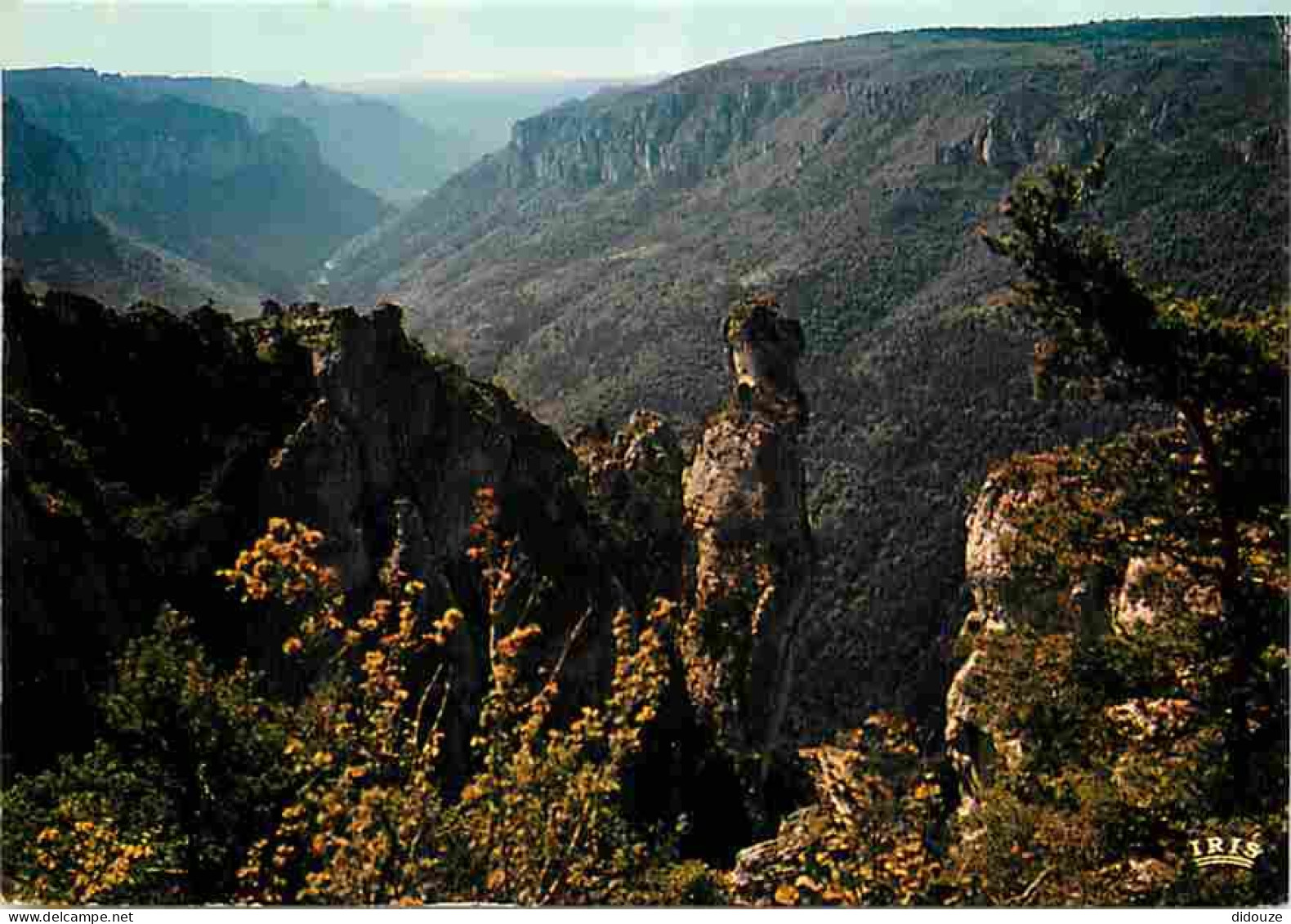 48 - Les Gorges Du Tarn - Paysage Typique De La Lozère - Flamme Postale - CPM - Voir Scans Recto-Verso - Gorges Du Tarn