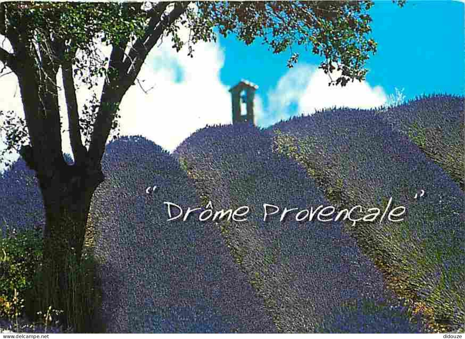 26 - Drome - Drome Provencale - Champs De Lavande - CPM - Voir Scans Recto-Verso - Autres & Non Classés