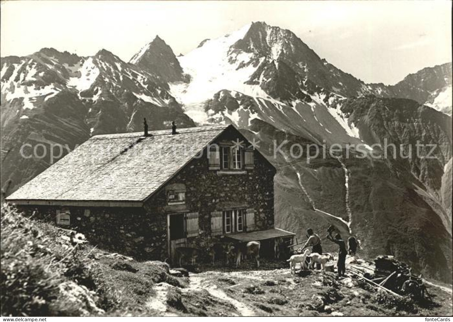 11567047 Windgaellenhuette Mit Oberalpstock Schutzhuette Maderanertal Glarner Al - Autres & Non Classés