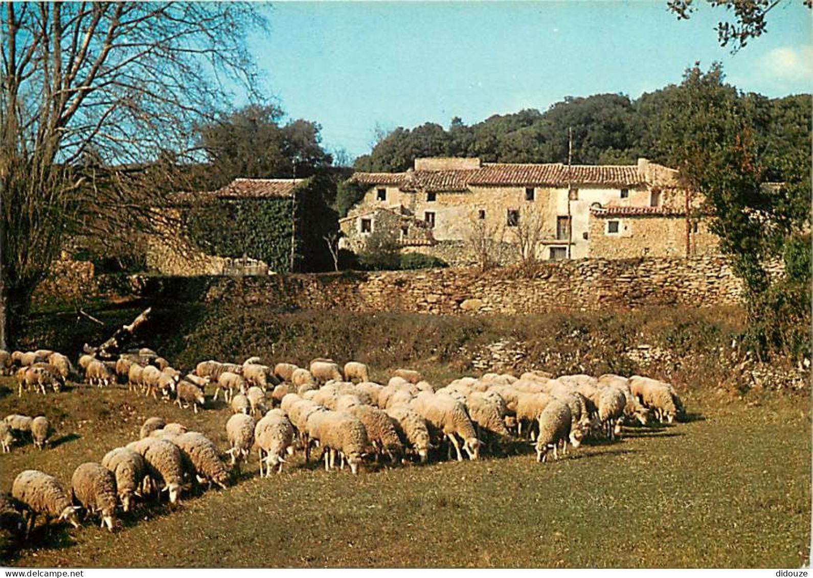 Animaux - Moutons - Provence - Vieux Mas Provençal La Cremade - CPM - Voir Scans Recto-Verso - Sonstige & Ohne Zuordnung