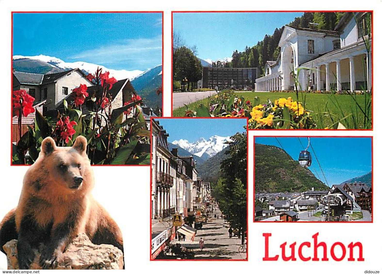 Animaux - Ours - Luchon - Multivues - Ours Des Pyrénées - Bear - CPM - Voir Scans Recto-Verso - Beren