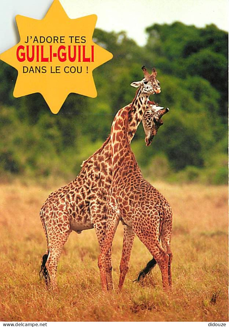 Animaux - Girafes - Carte Humoristique - Carte Neuve - CPM - Voir Scans Recto-Verso - Giraffes