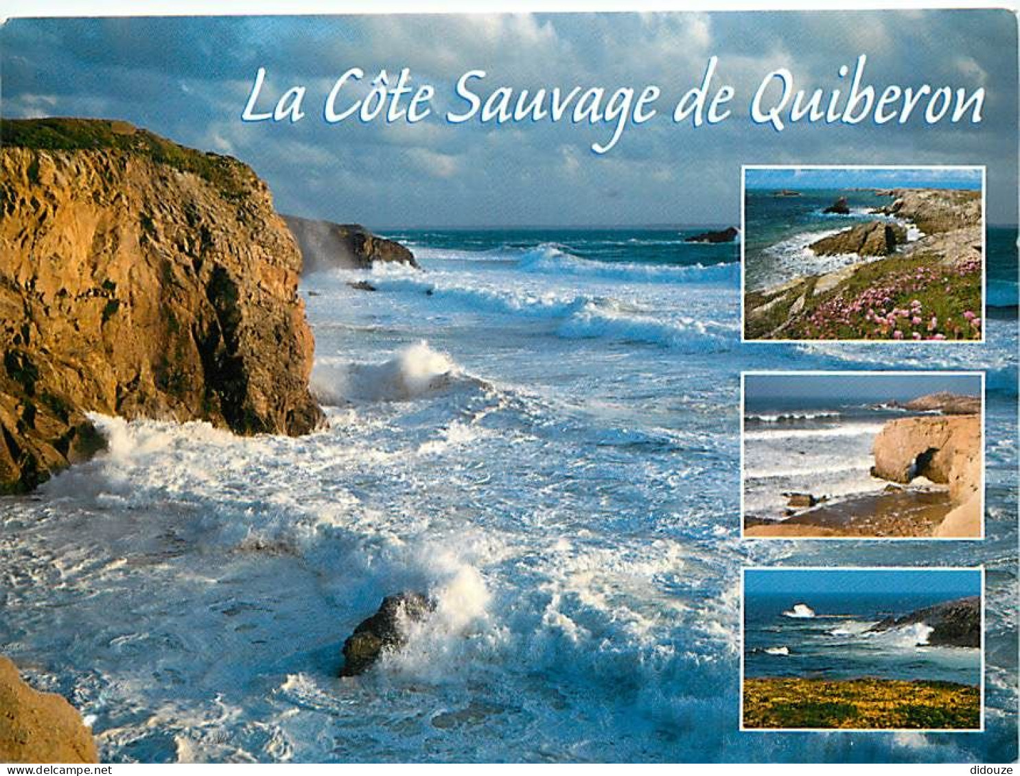 56 - Presqu'Ile De Quiberon - Multivues - CPM - Voir Scans Recto-Verso - Quiberon