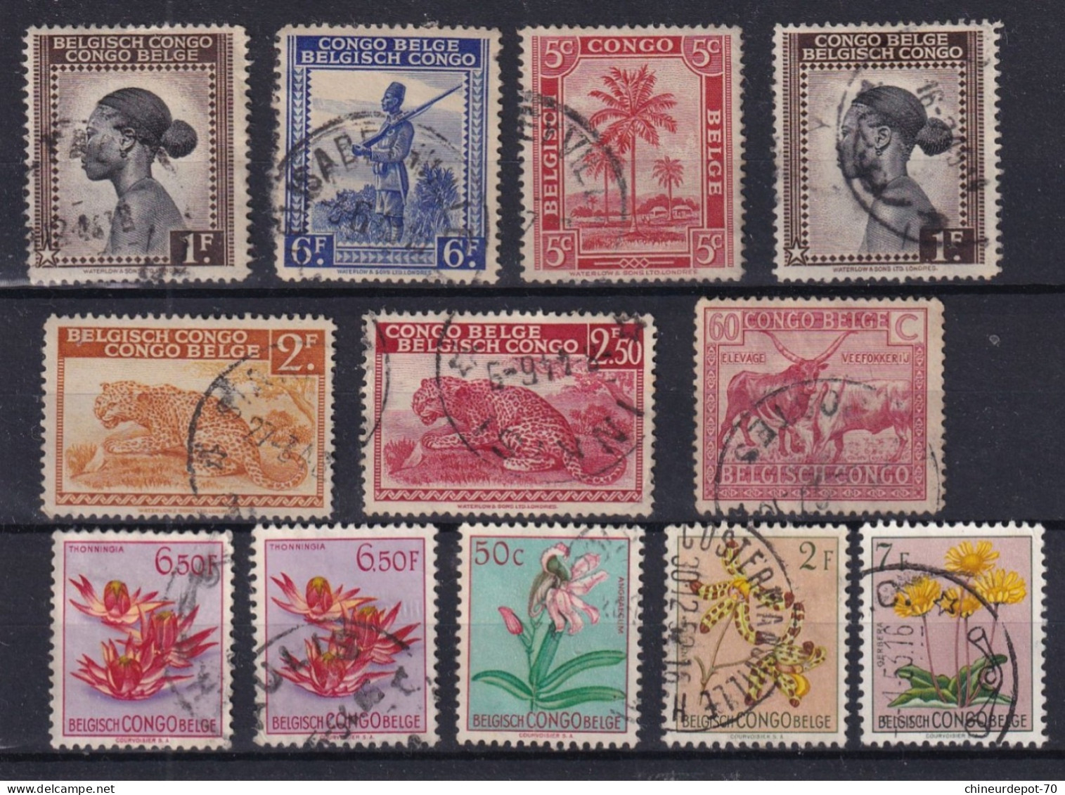 Timbres   Congo Belge - Other & Unclassified