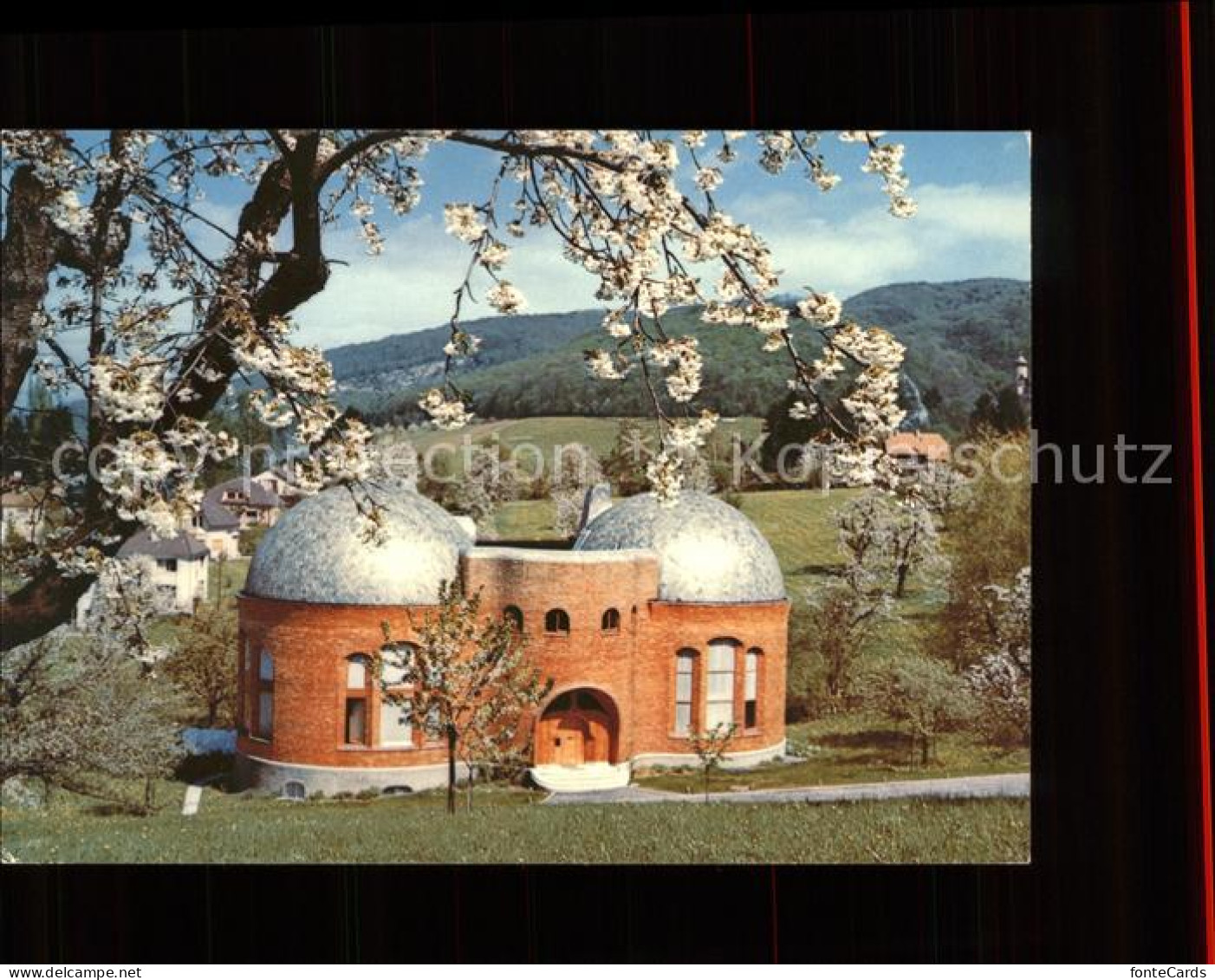 11566646 Dornach SO Atelier Rudolf Steiner Goetheanum Baumbluete Dornach - Altri & Non Classificati