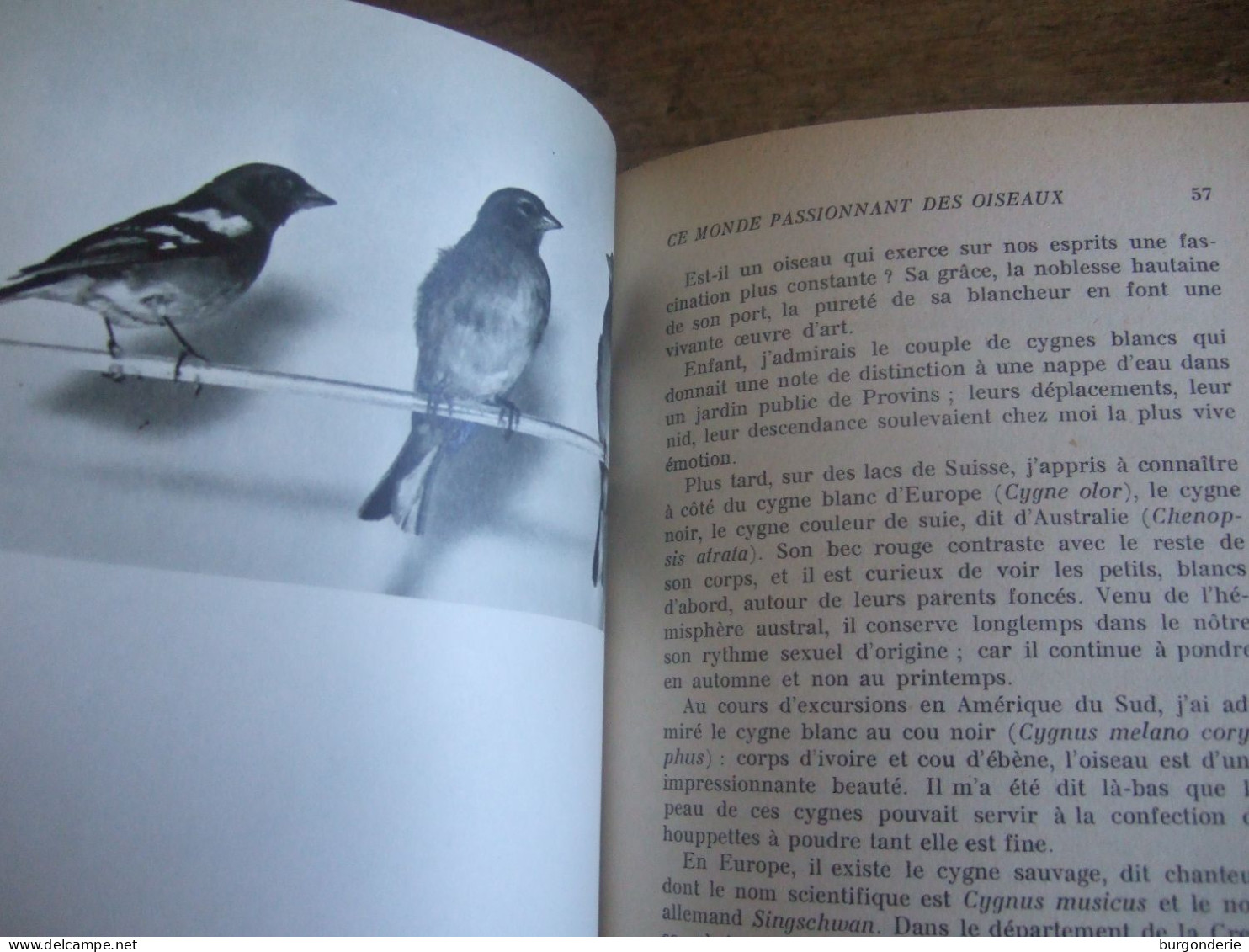 CE MONDE PASSIONNANT DES OISEAUX / Pr LEON BINET - Scienza