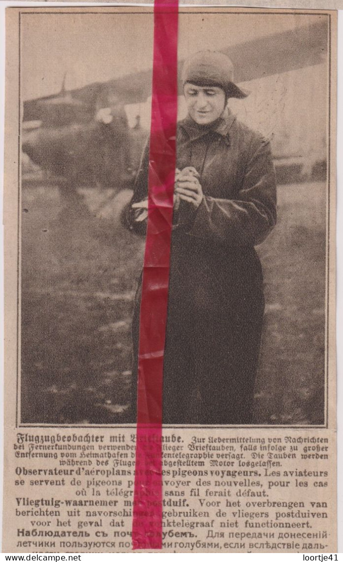 Oorlog Guerre 14/18 - Waarnemer Met Postduif, Aviateur Avec Pigeon, - Orig. Knipsel Coupure Tijdschrift Magazine - 1917 - Non Classés