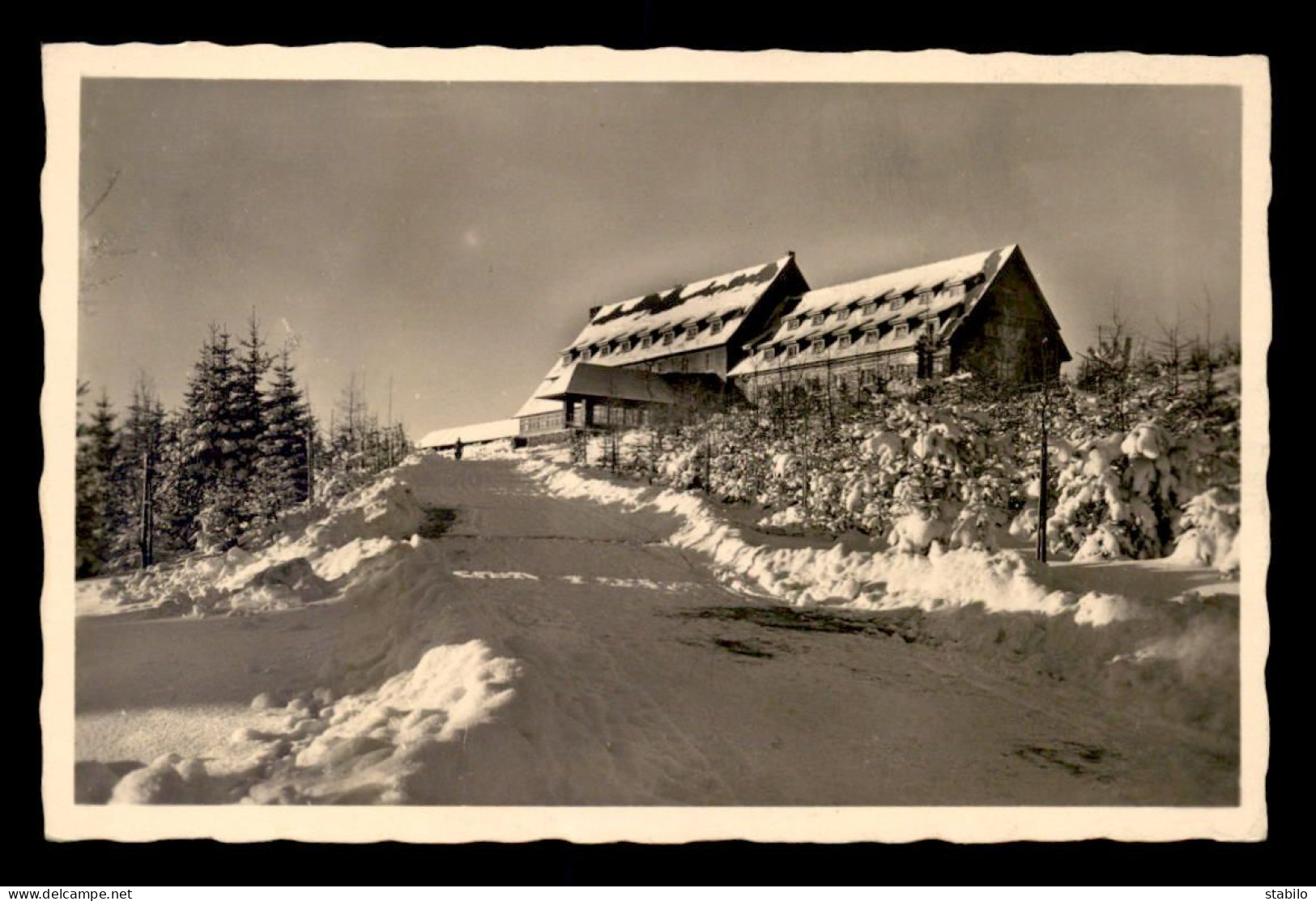 AUTRICHE - AHORNBERG - BERGHOTEL SVEHLAHUTTE - Autres & Non Classés