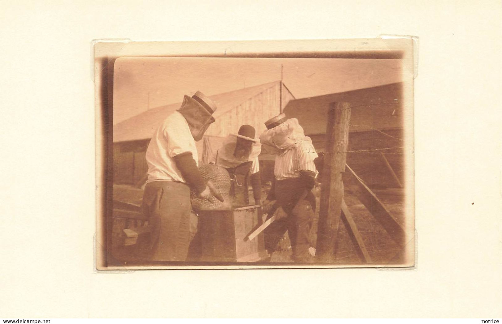 RAINEVILLE (Somme) - Apiculture (photo Années 30 Format 8,8cm X 6,4cm) - Places