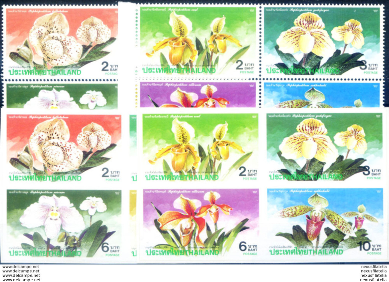 Flora. Fiori. Orchidee 1992. - Tailandia