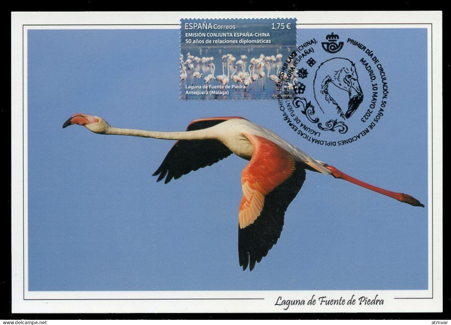 ESPAÑA (2023) Carte Maximum Card - Emisión Conjunta - Joint Issue China Flamingo Flamenco Flamant Phoenicopterus Roseus - Maximum Kaarten