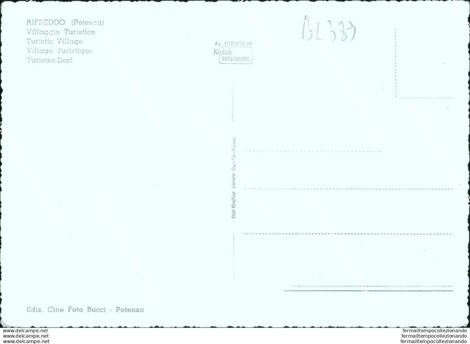 Bl389  Cartolina Rifreddo Villaggio Turistico Provincia Di Potenza - Potenza