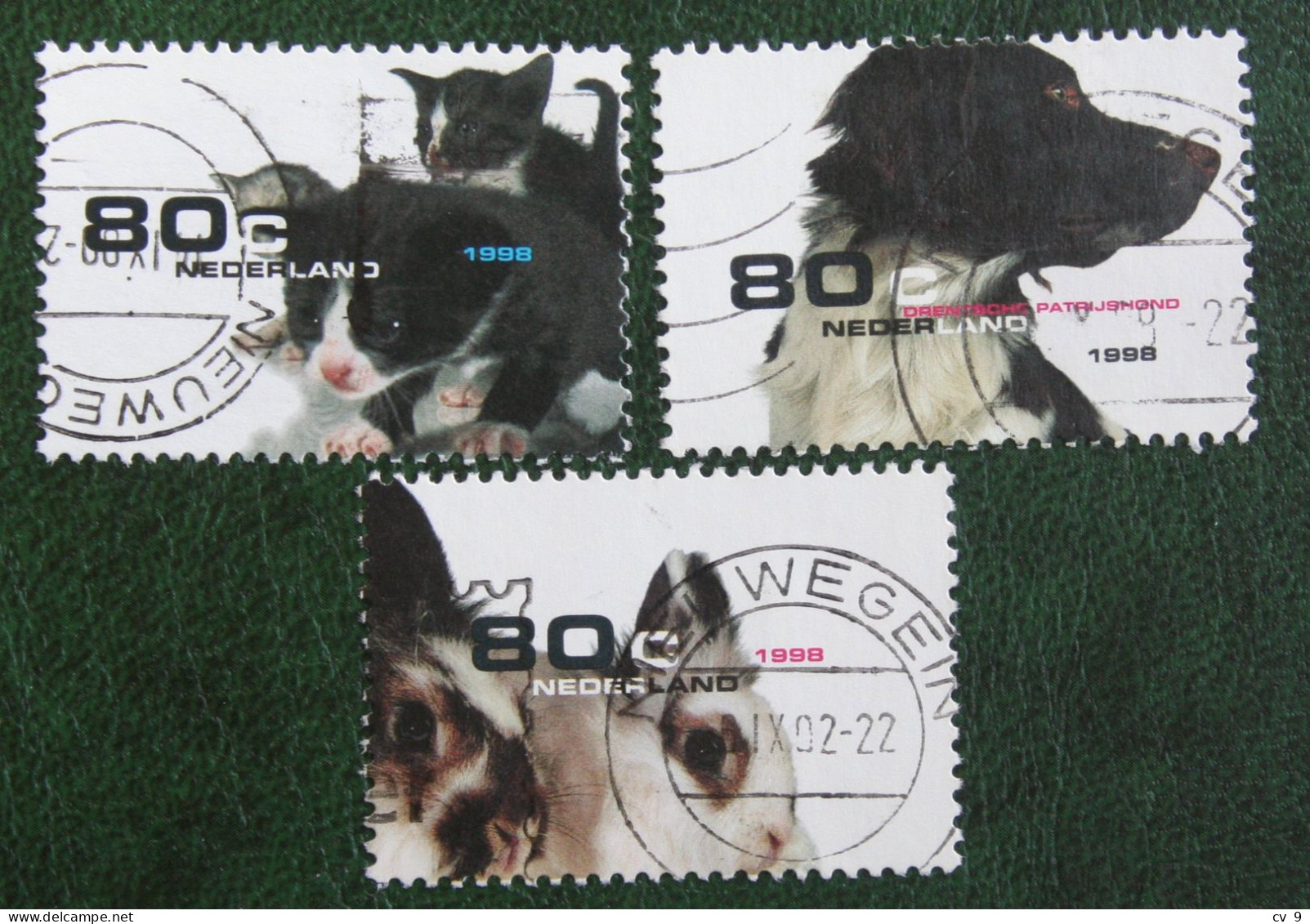 Cats Dogs Rabbits Pets Chien Chat NVPH 1779-1781 (Mi 1675-1677) 1998 Gestempeld Used Oblitéré NEDERLAND / NIEDERLANDE - Used Stamps