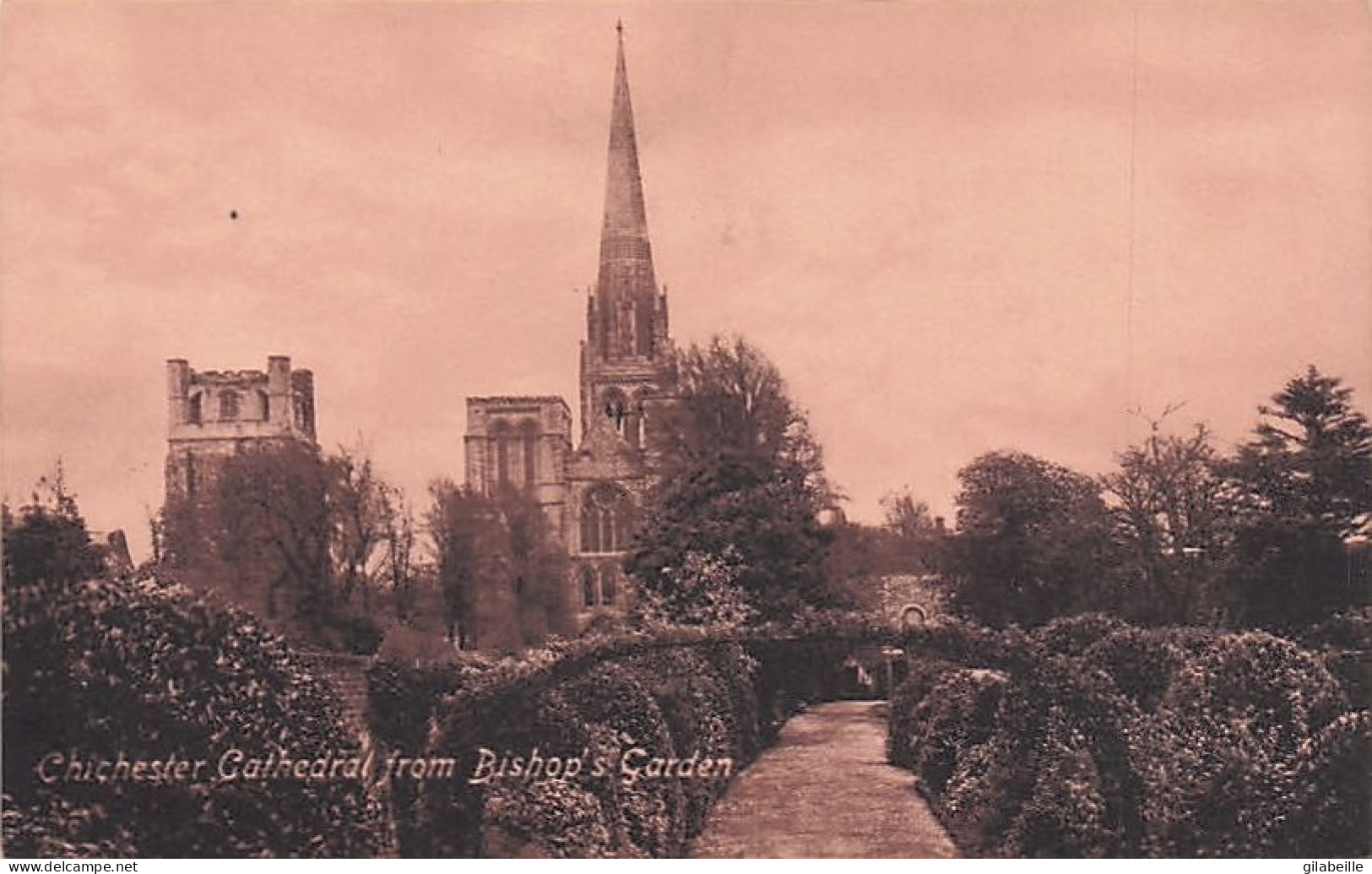 Sussex  - CHICHESTER Cathedral   From Bishop's Garden - Chichester