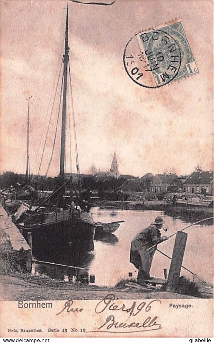 BORNHEM  - BORNEM -   Paysage -1901 - Bornem