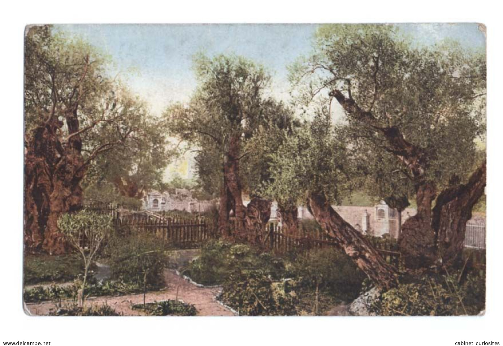 Jérusalem - Le Jardin De Gethsémani - Colorisée - Circulée En 1909 - Israel
