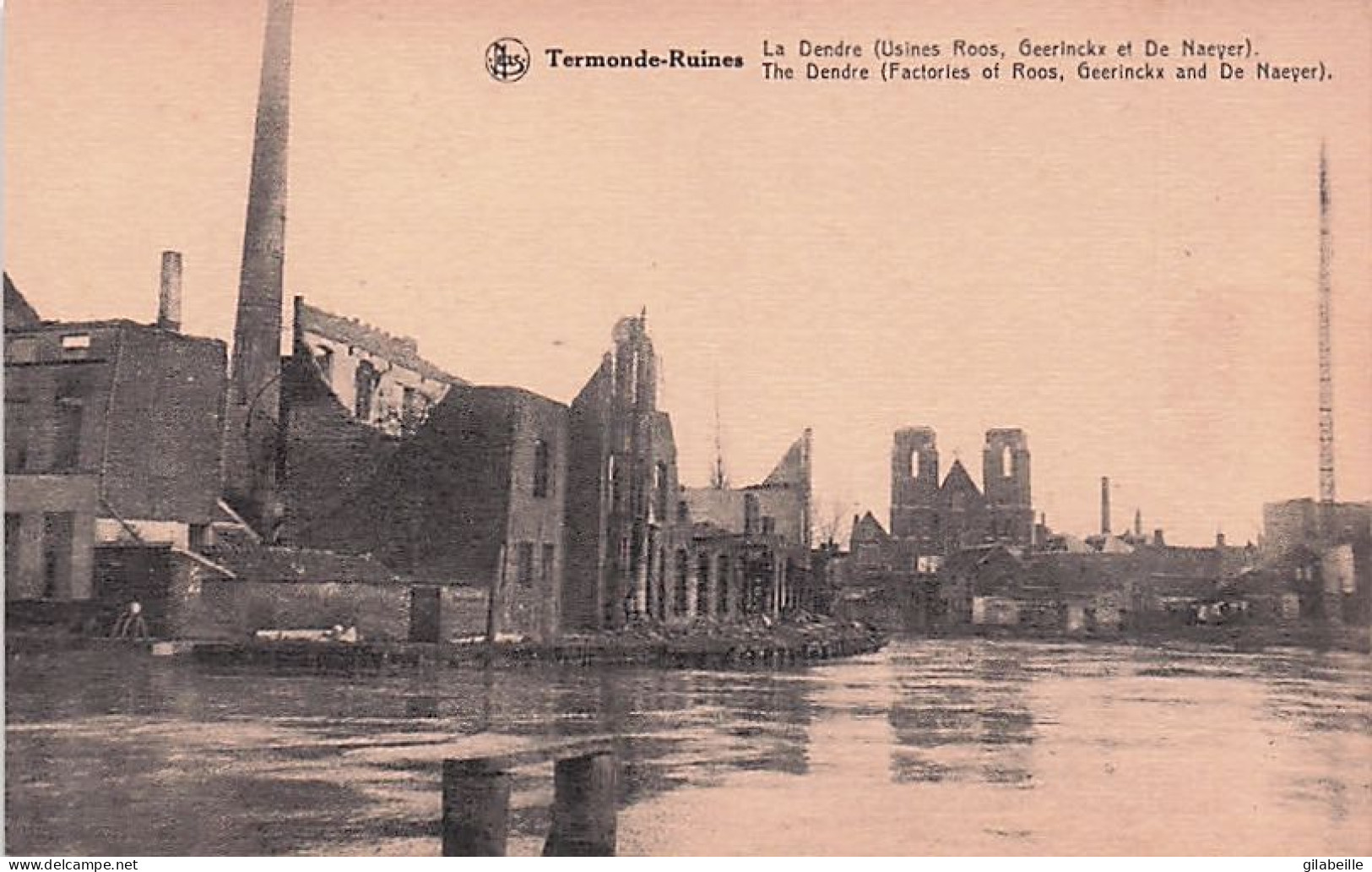 TERMONDE - DENDERMONDE -  Termonde-Ruines - La Dendre (Usines Roos Geericckx Et De Naeyer) - Dendermonde