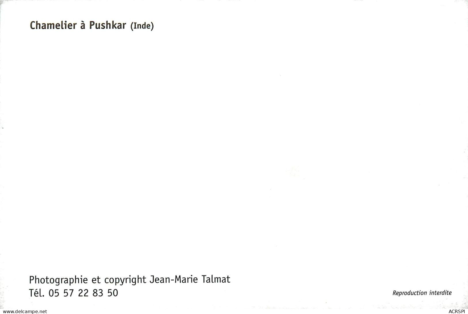 INDE  Chamelier à PUSHKAR  (scan Recto-verso) QQ 1114 - India