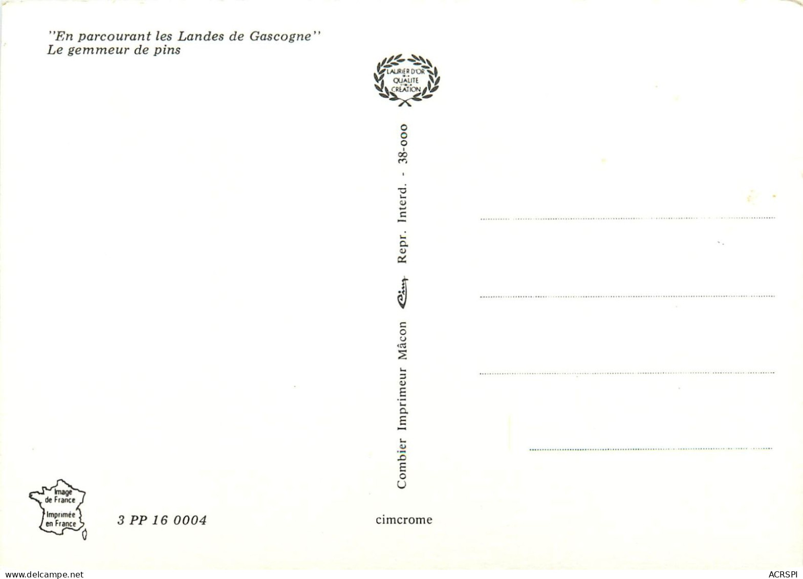 SAINT SERVER Le Gemmeur De Pins (scan Recto-verso) QQ 1108 - Saint Sever