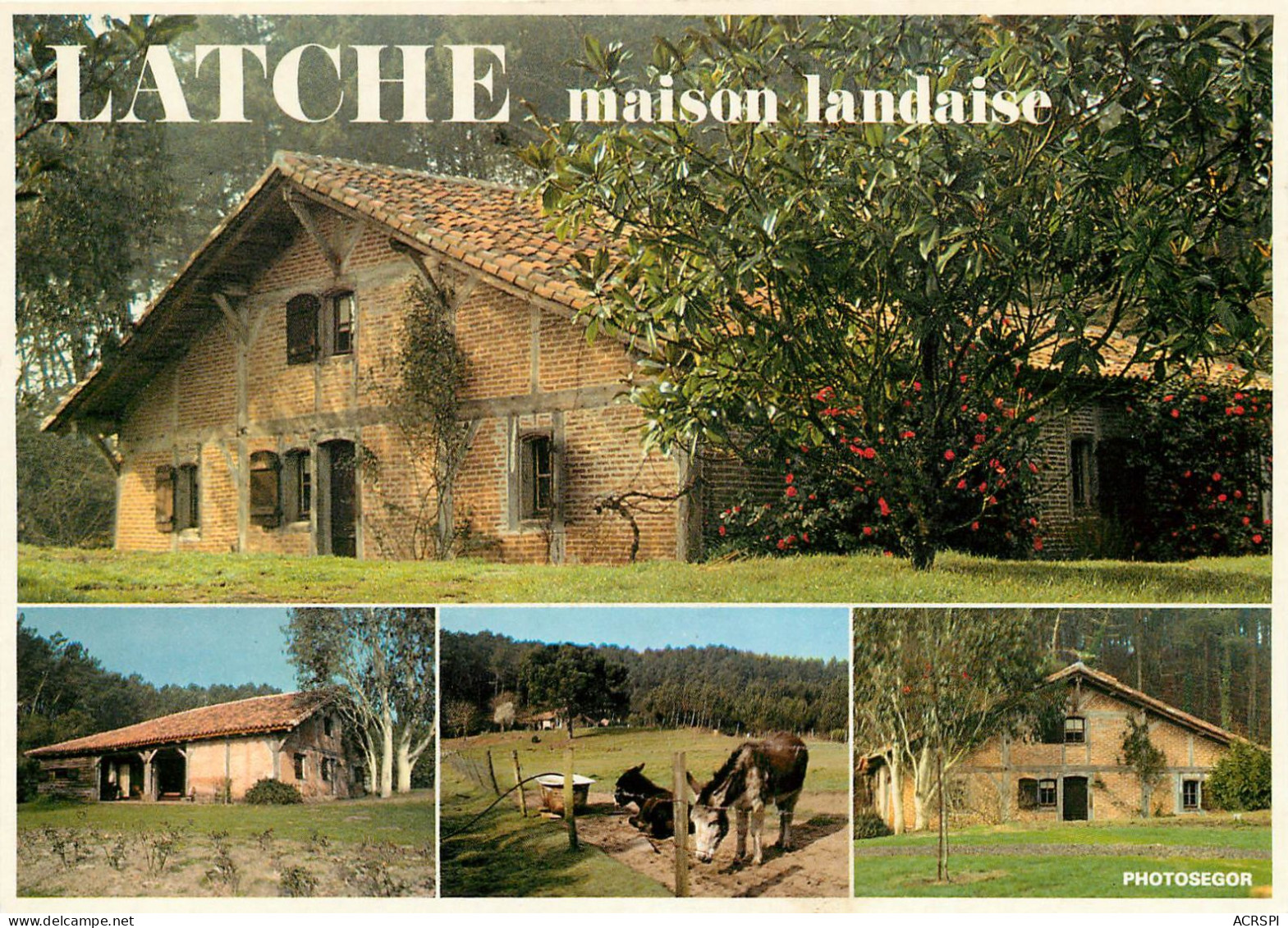 HOSSEGOR Capbreton LATCHE Une Maison Landaise  (scan Recto-verso) QQ 1107 - Hossegor