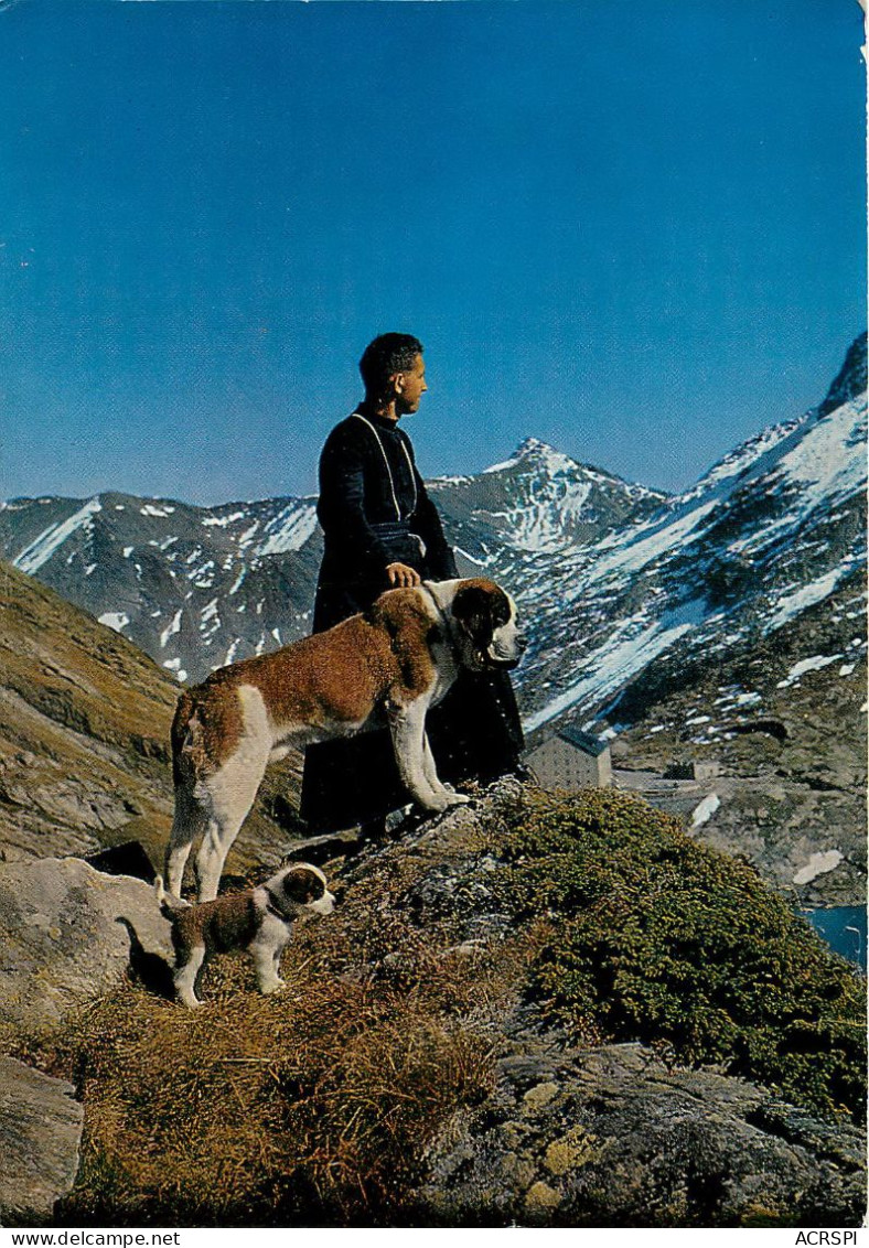 AOSTE Un Chamoine Avec Son Chien Barry Au Col Du Grand Saint Bernard (scan Recto-verso) QQ 1106 - Aosta