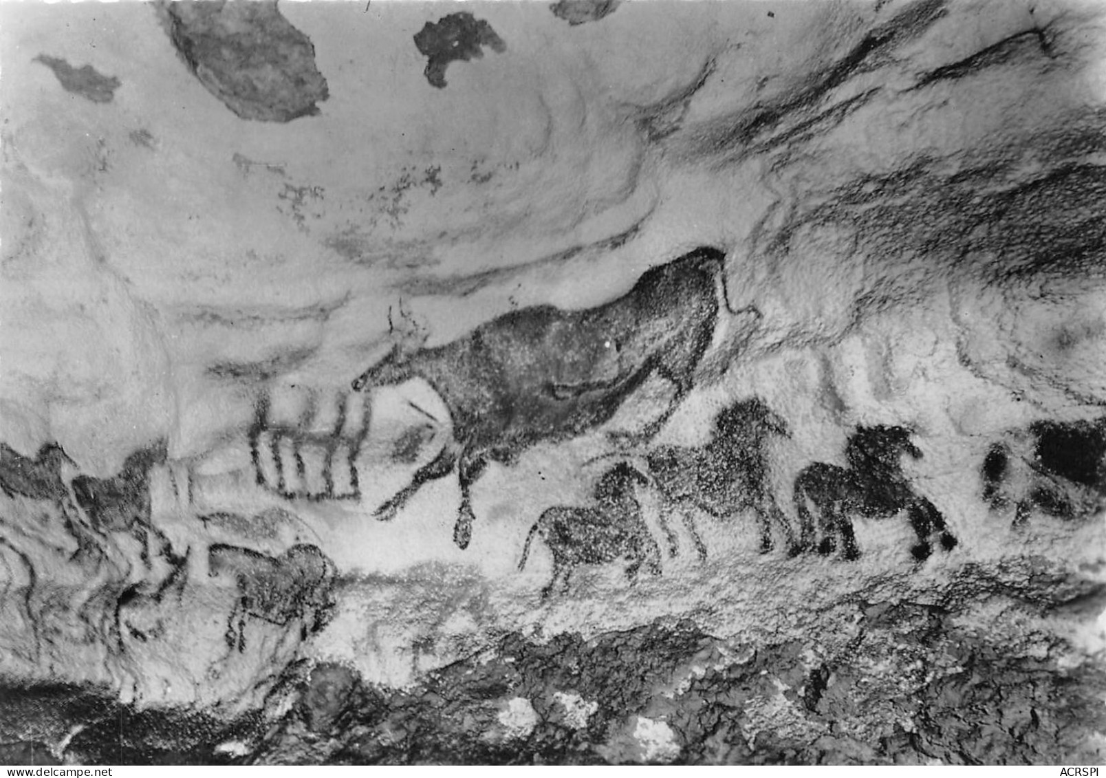 Lot De Dix  Cartes Des Grottes De Lascaux En Dordogne 24290 Montignac-sur-Vézère  (Scan R/V) N°   26   \QQ1110Ter - Montignac-sur-Vézère