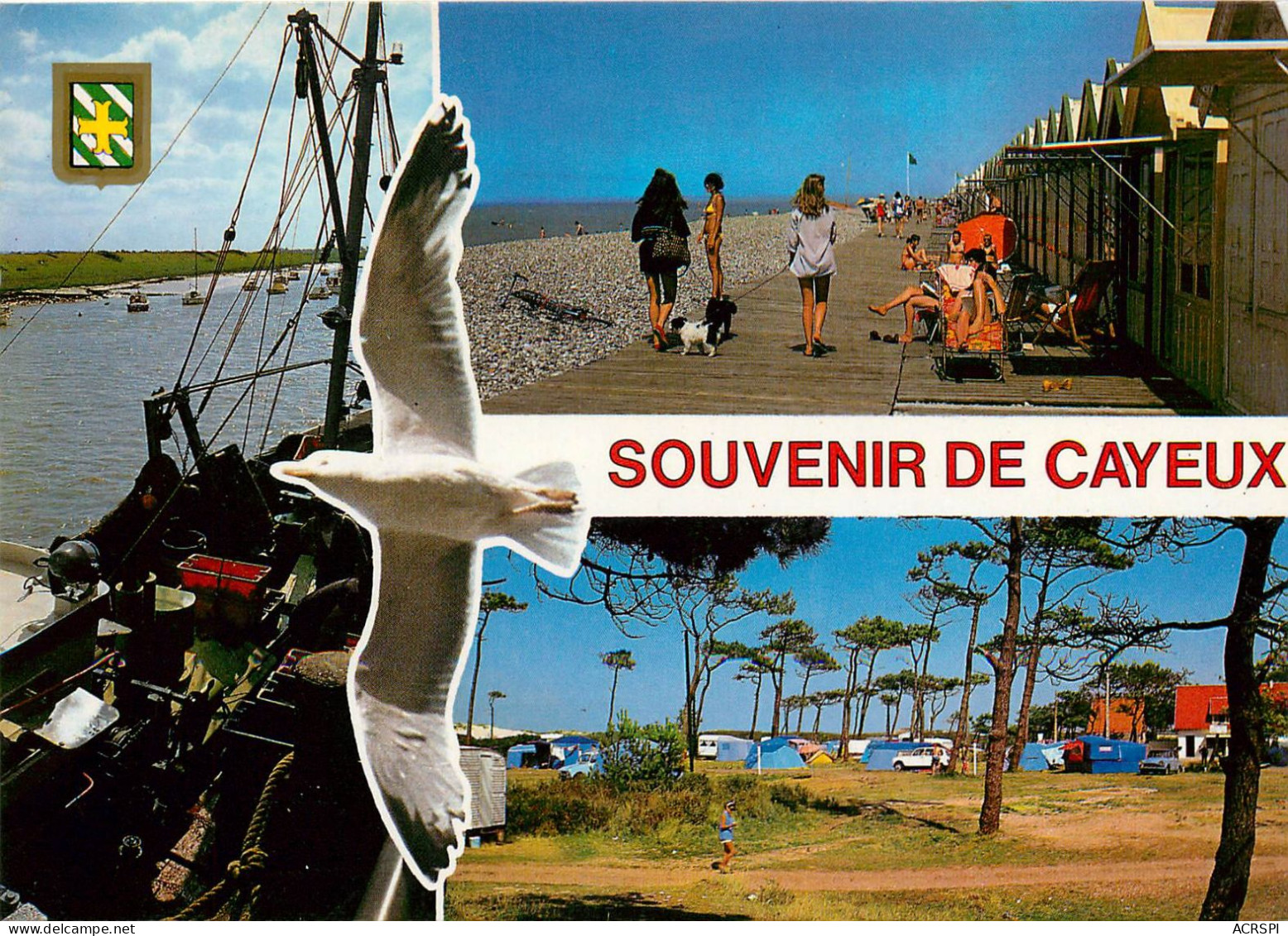 CAYEUX SUR MER  Cote D'opale Multivue Souvenir  (scan Recto-verso) QQ 1141 - Cayeux Sur Mer