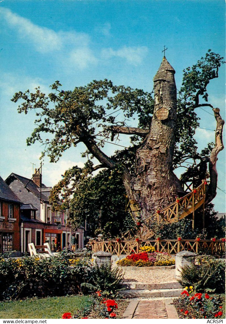 76 ALLOUVILLE-BELLEFOSSE : Arbre : Le Vieux Chêne Renferme Deux Chapelles   (scan Recto-verso) QQ 1134 - Allouville-Bellefosse