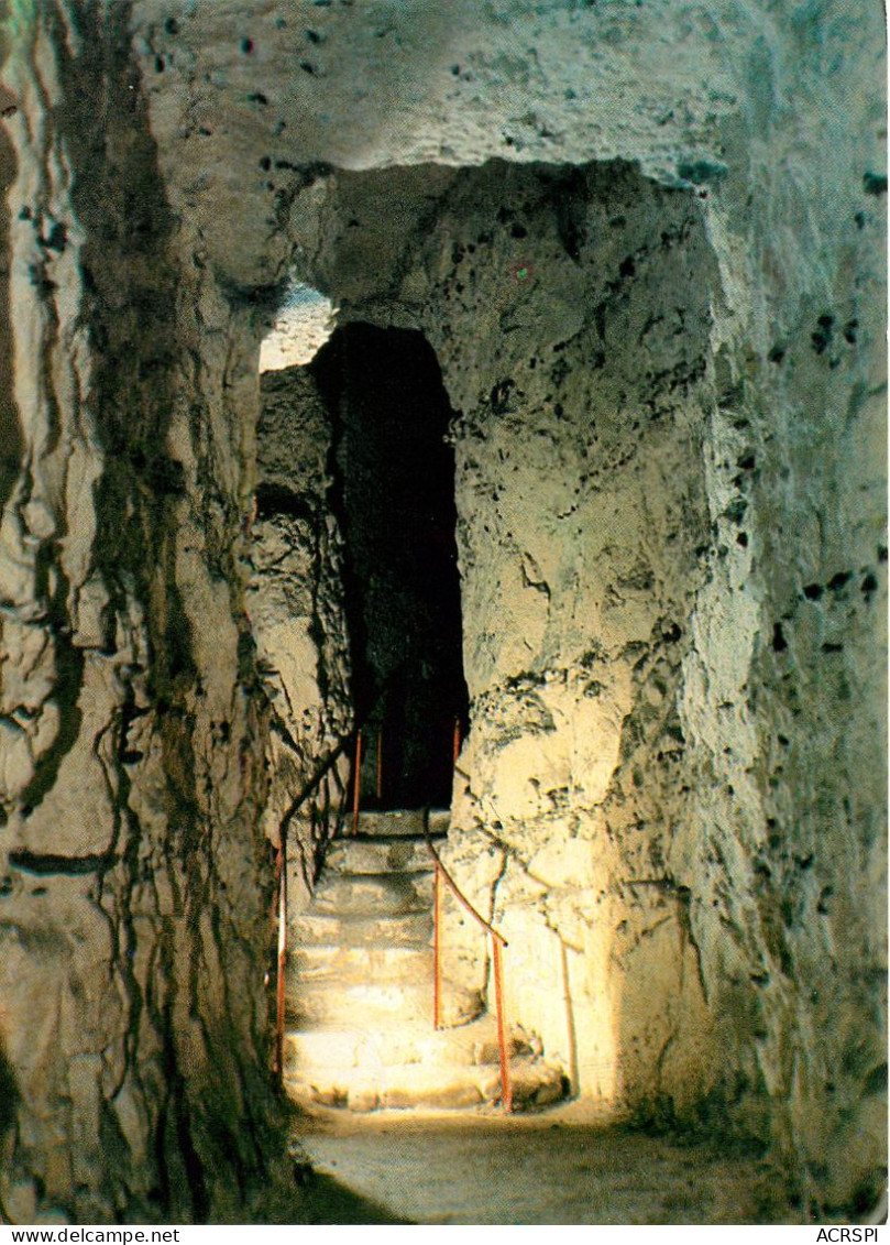 Les Grottes De NAOURS Descente De La Rotonde    (scan Recto-verso) QQ 1141 - Naours