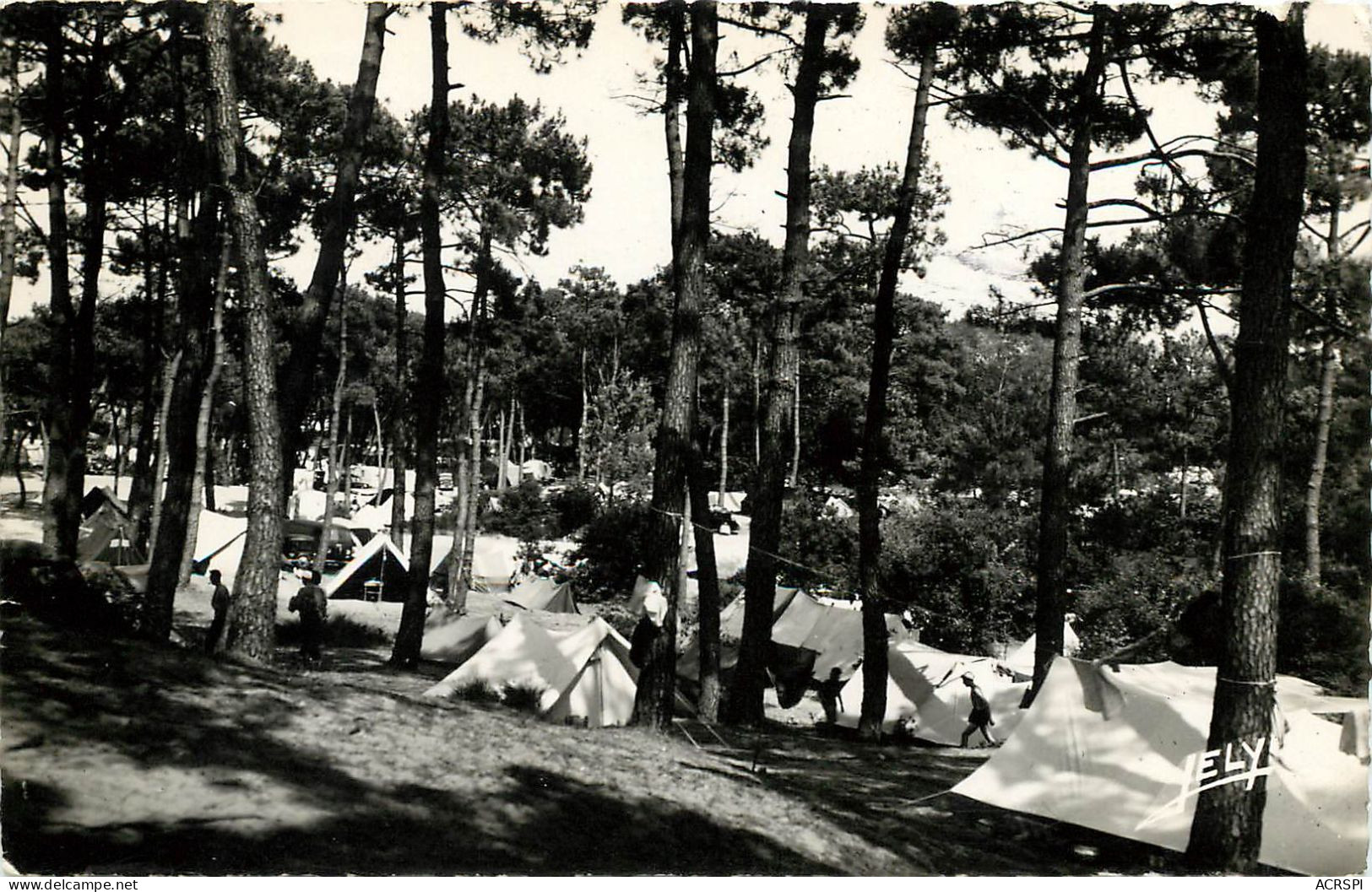 44 SAINT-BRÉVIN. - Camping En Forêt Du Pointeau.  (scan Recto-verso) QQ 1119 - La Baule-Escoublac