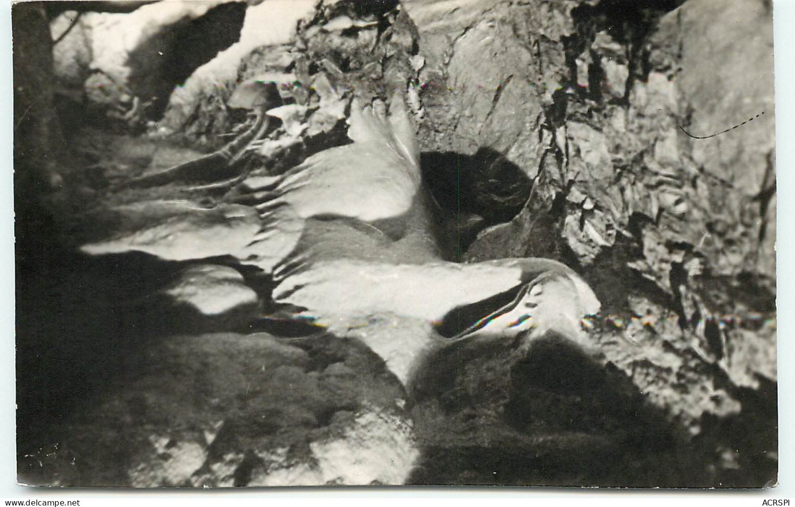 ANDUZE Les Grottes De TRABUC Le Pelican  (scan Recto-verso) QQ 1193 - Anduze