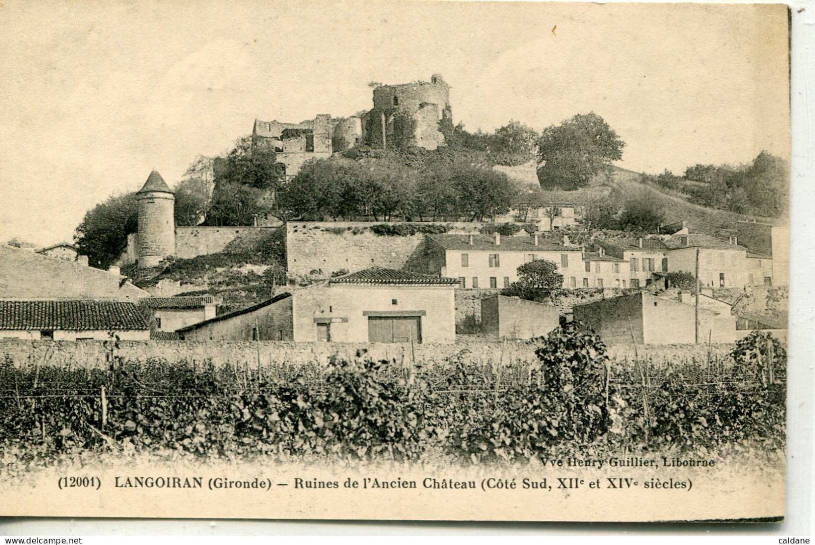 - 33 -GIRONDE -   LANGOIRAN-  Ruines De L'Ancien  Chateau - Saint-Emilion