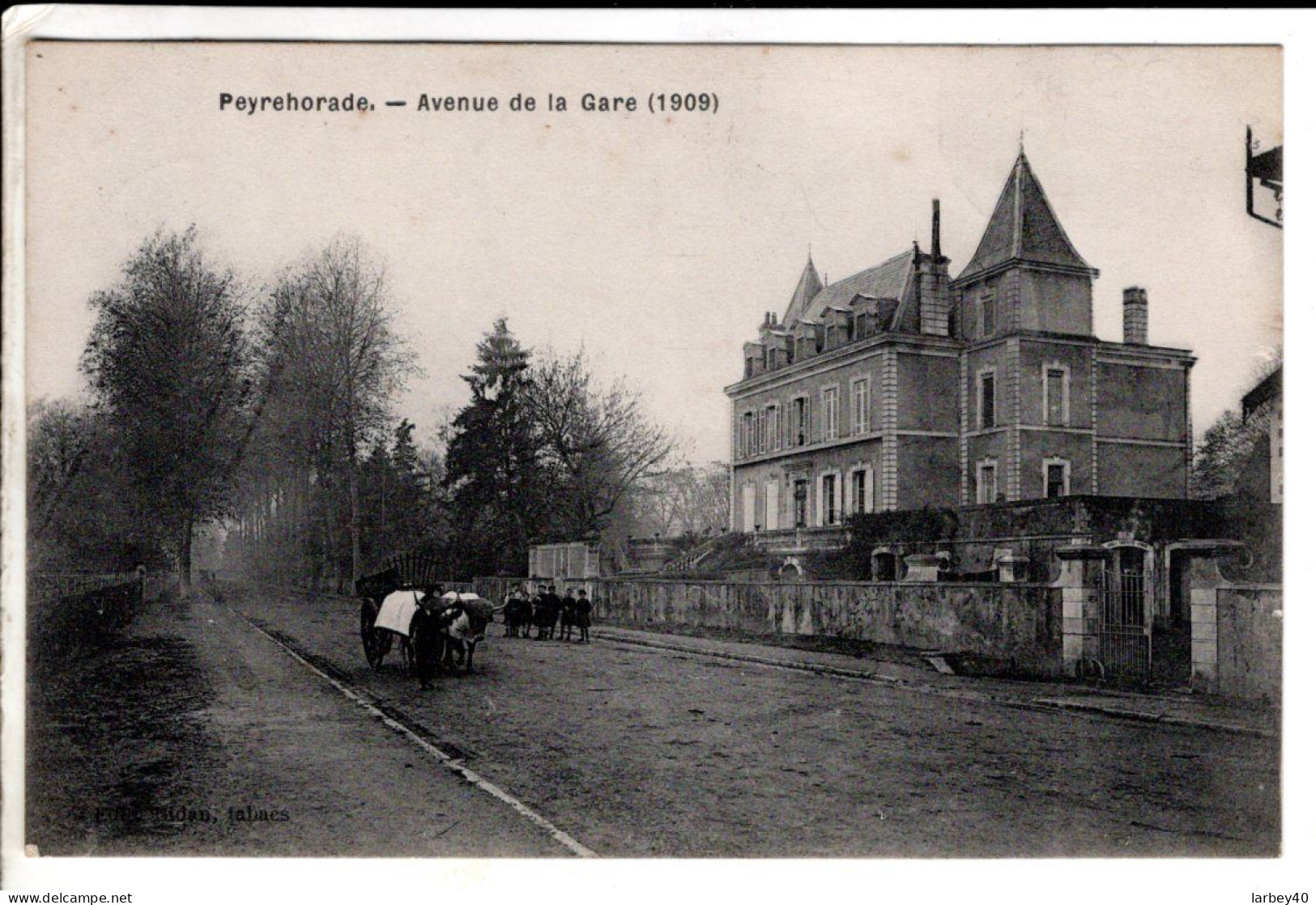 40 - Peyrehorade Avenue De La Gare - Cartes Postales Ancienne - Peyrehorade