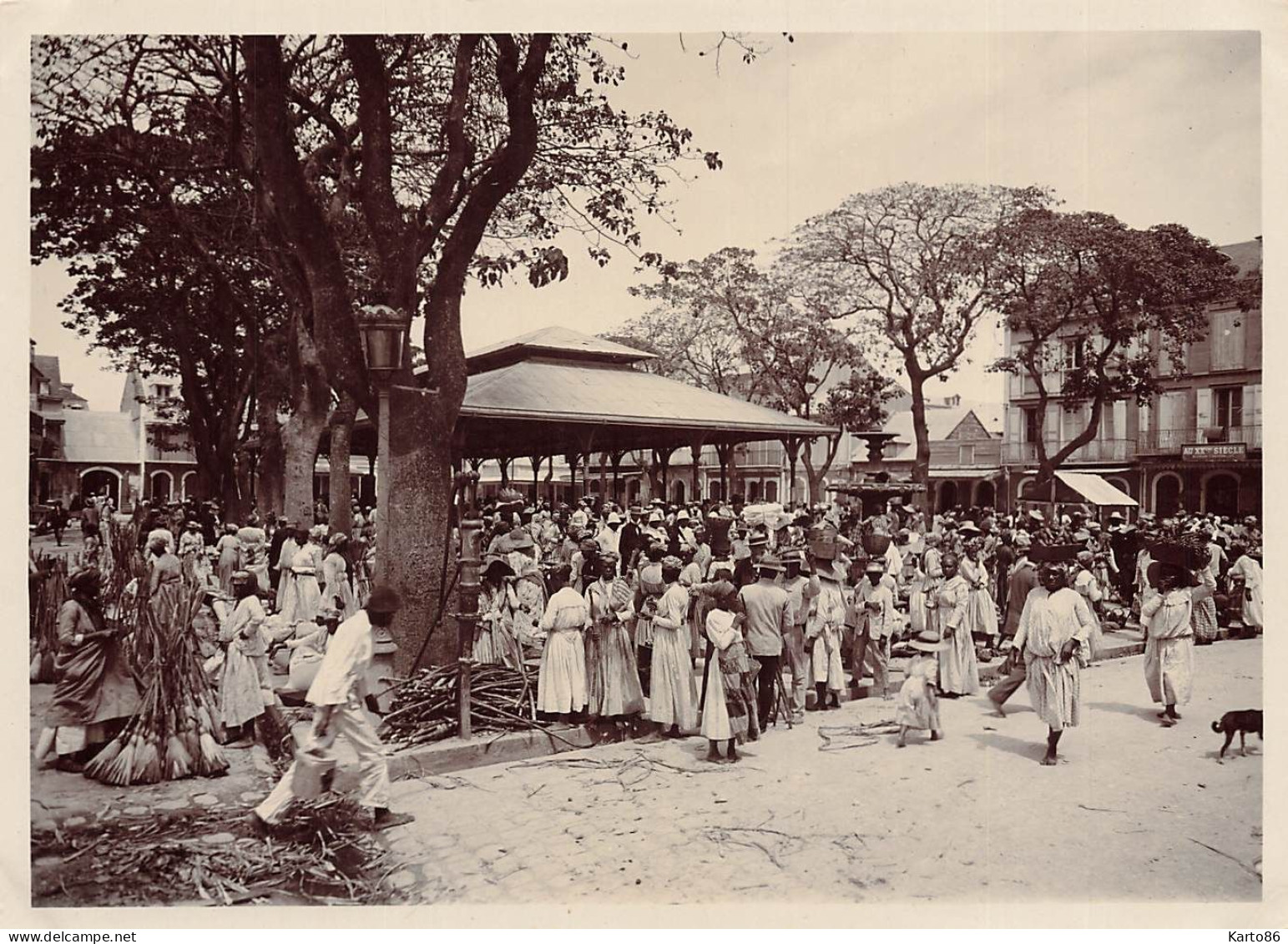 Pointe à Pitre , Guadeloupe * Le Marché * RARE Grande Photo Ancienne Circa 1885/1895 * 17.8x13cm - Pointe A Pitre