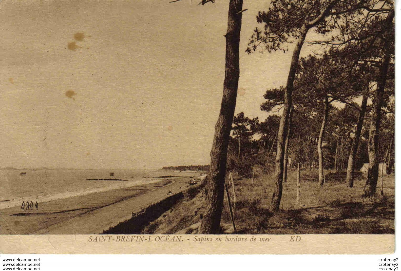 44 SAINT BREVIN L'OCEAN Les Belles Plages Sapins En Bordure De Mer VOIR DOS - Saint-Brevin-l'Océan