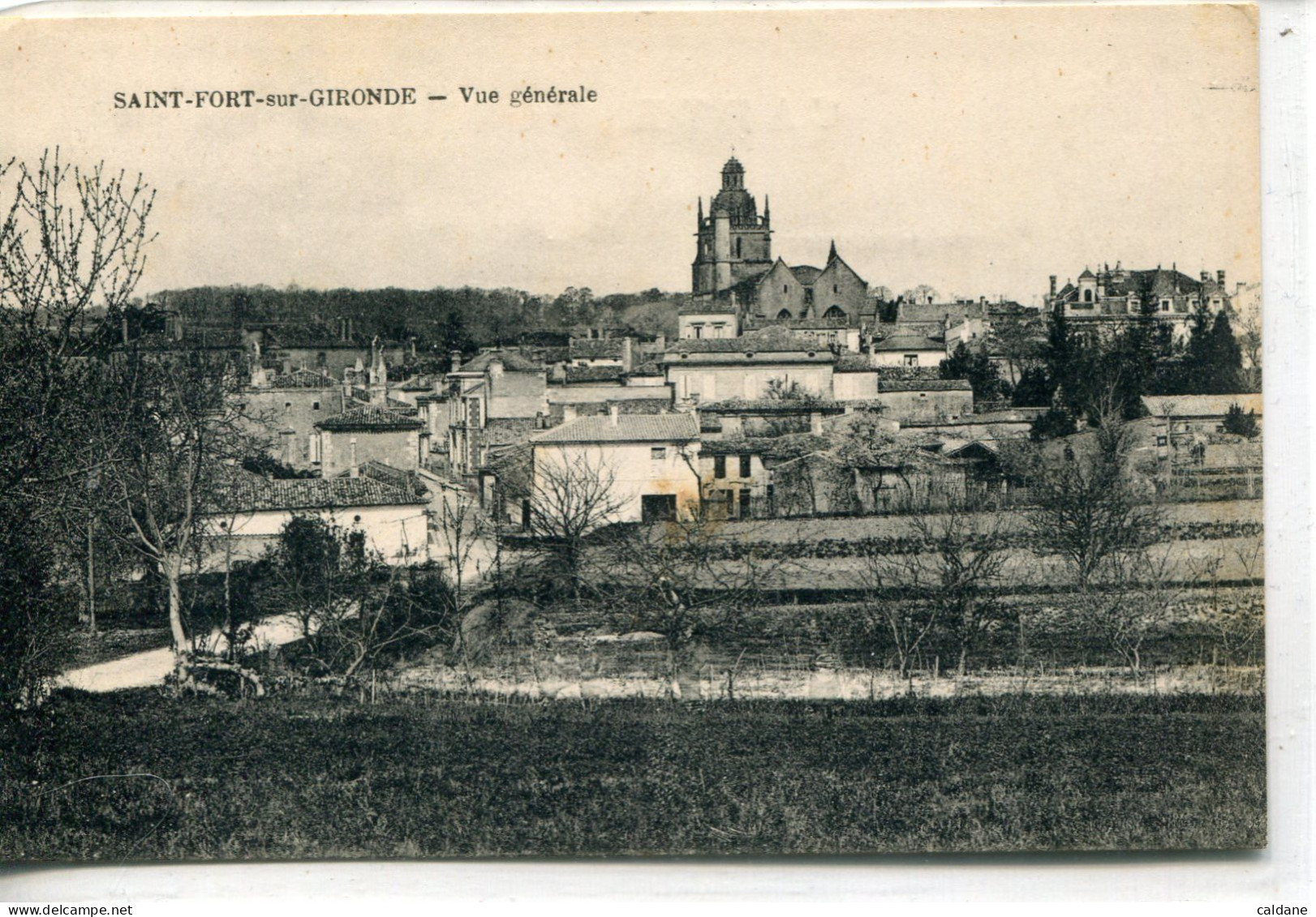 - 33 -GIRONDE - SAINT-FORT-sur-GIRONDE - Vue Generale - Andere & Zonder Classificatie