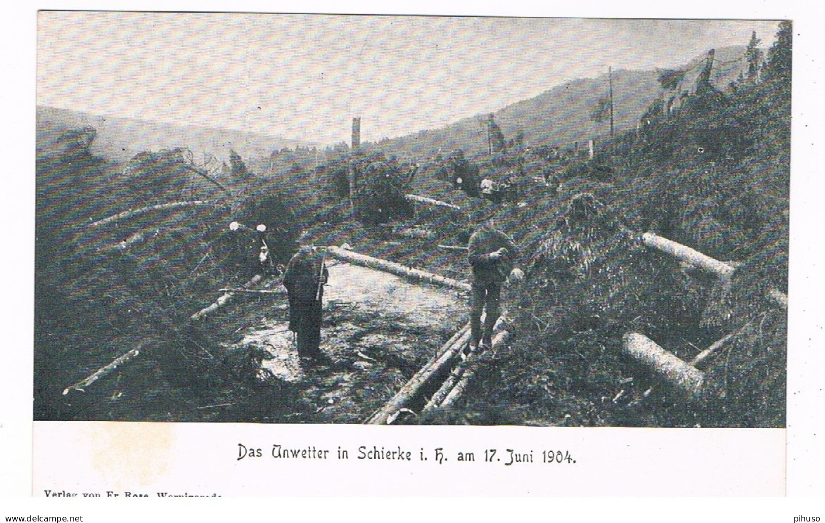 D-17169  SCHIERKE : Das Unwetter In Schierke 1904 - Schierke