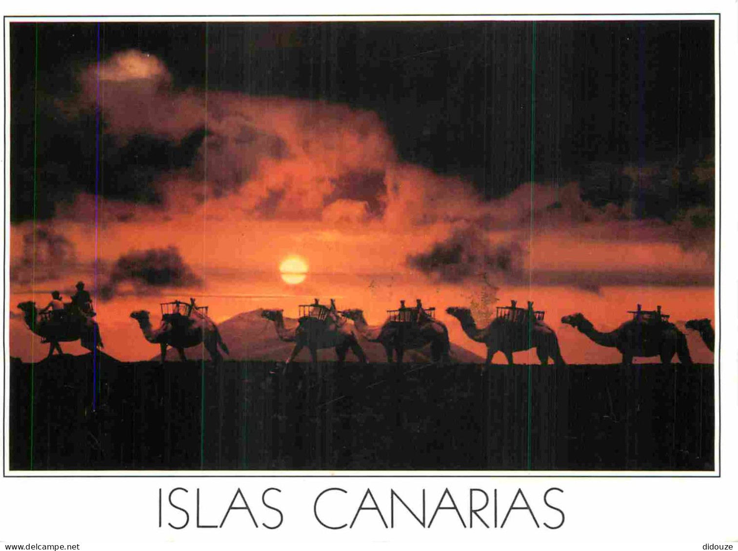 Espagne - Espana - Islas Canarias - Chameaux - Coucher De Soleil - CPM - Voir Scans Recto-Verso - Autres & Non Classés