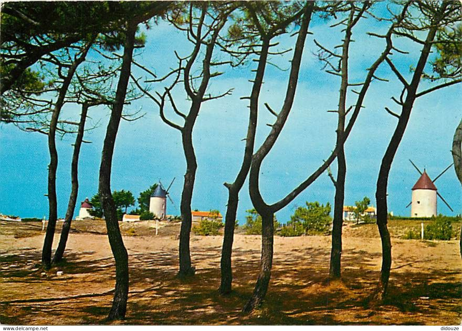 85 - Ile De Noirmoutier - La Guérinière - Les 3 Moulins De La Guérinière - CPM - Voir Scans Recto-Verso - Ile De Noirmoutier