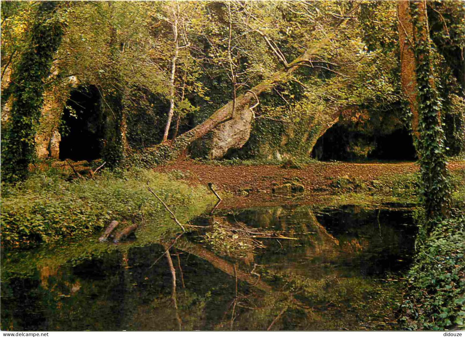 17 - Saint Porchaire - Domaine Du Château De La Roche Courbon - Les Grottes Préhistoriques - CPM - Voir Scans Recto-Vers - Altri & Non Classificati